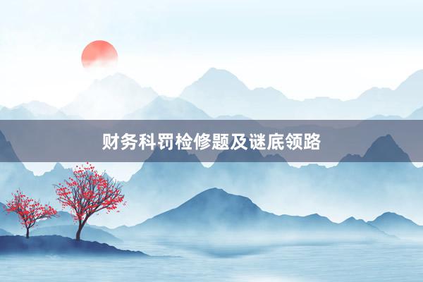 财务科罚检修题及谜底领路
