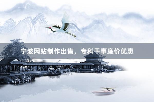 宁波网站制作出售，专科干事廉价优惠